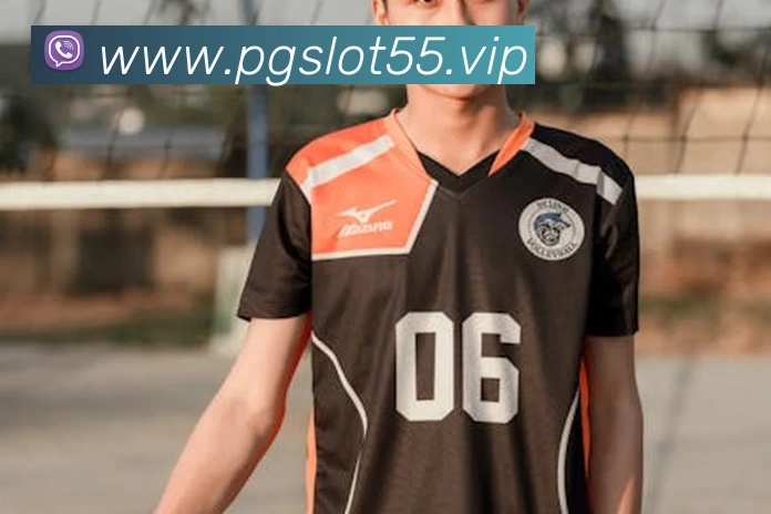 pg服务体系